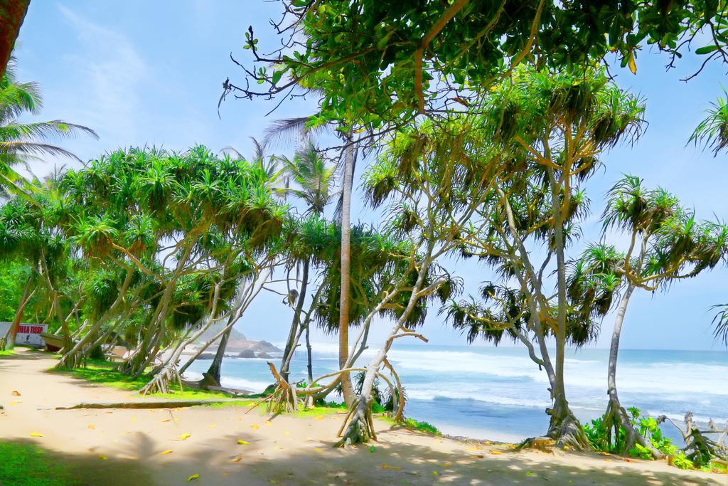 Naomi Beach Resort - Adults Only Weligama Esterno foto